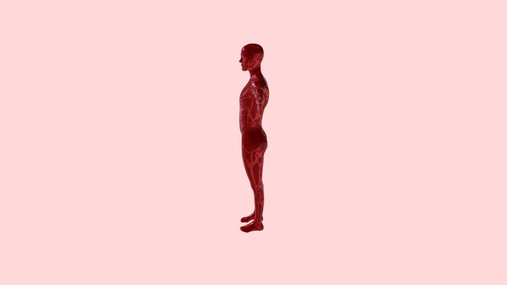 Joe 3D Model