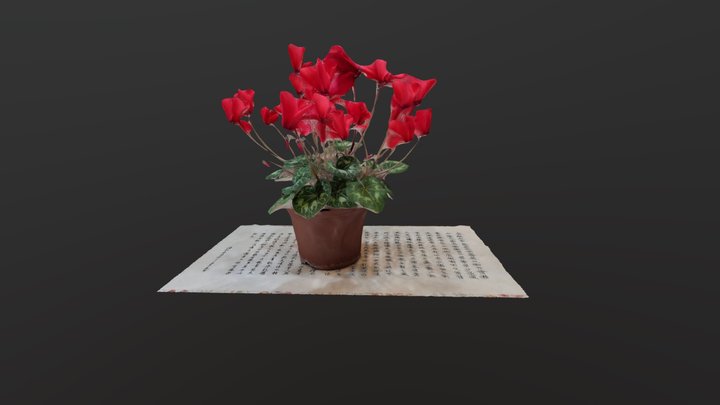 flower_pot_2021 3D Model