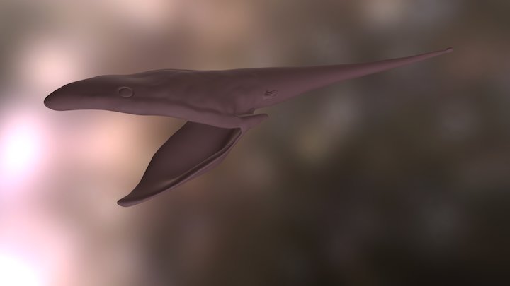 Gulper Eel (Eurypharynx pelecanoides) 3D Model
