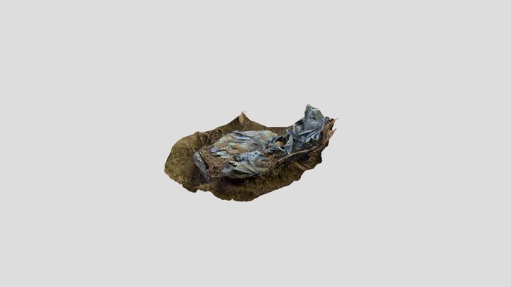 Phantom Phalange’s Burial Photogrammetry 3D Model