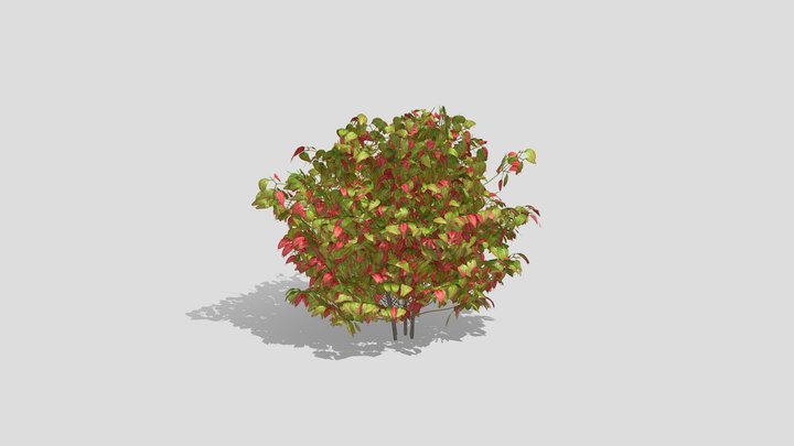 Otafukunanten Std 3D Model