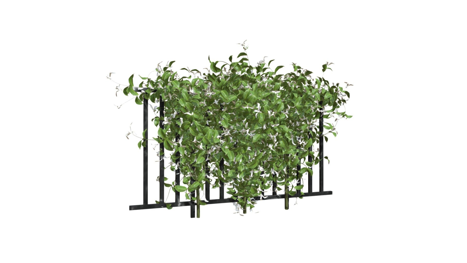 Climbing Honeysuckle Vine On Metal Fence - Buy Royalty Free 3d Model By 