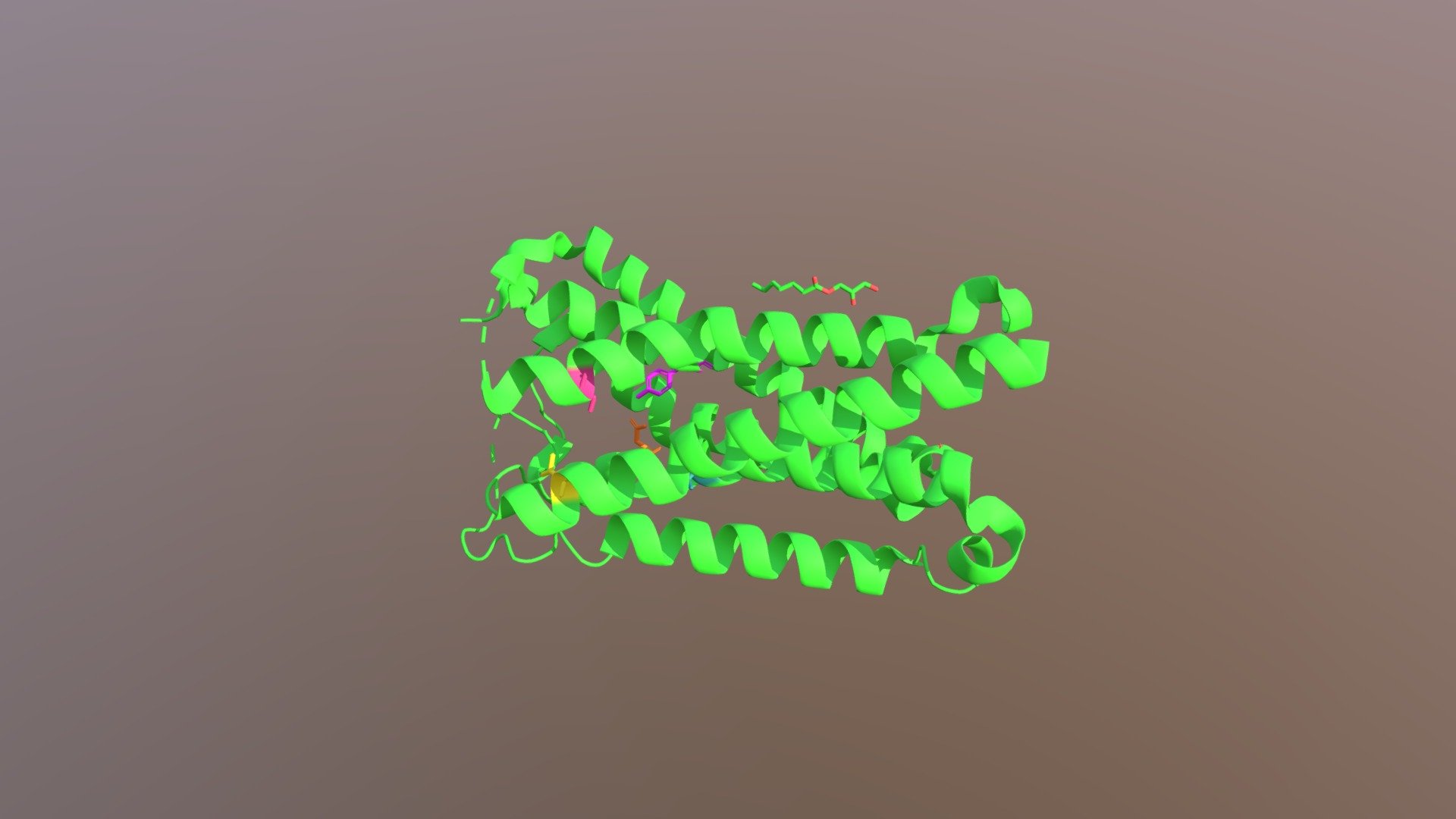 Serotonin 5-HT1B Receptor and ergotamine