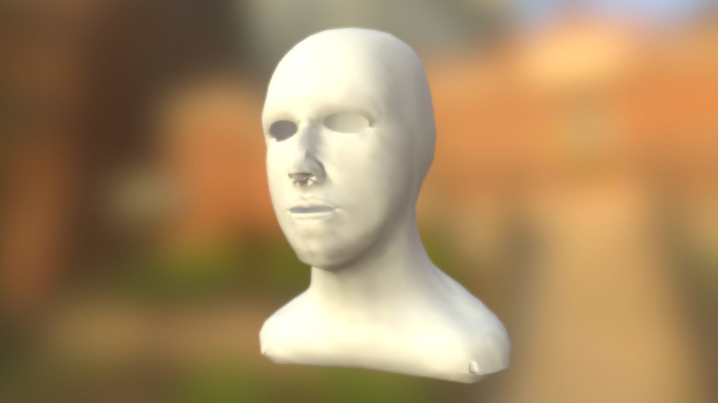 Self Portrait Retopologised