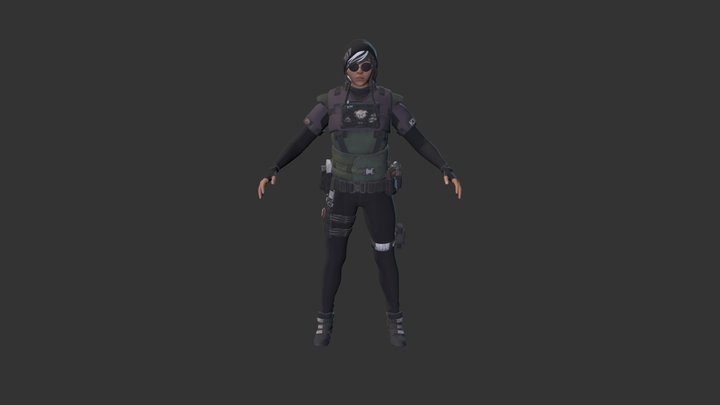 Chr 707 3D Model