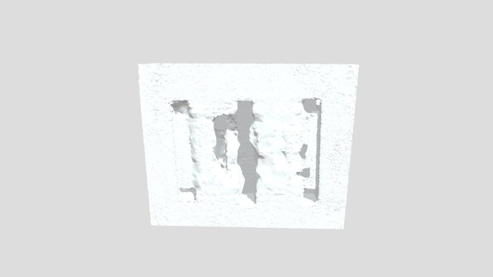 Edited Mesh Reduced 3D Model