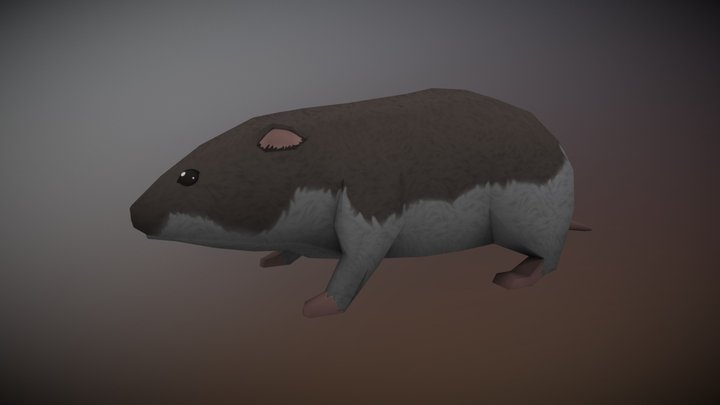 Meadow Vole "Parliament" 3D Model
