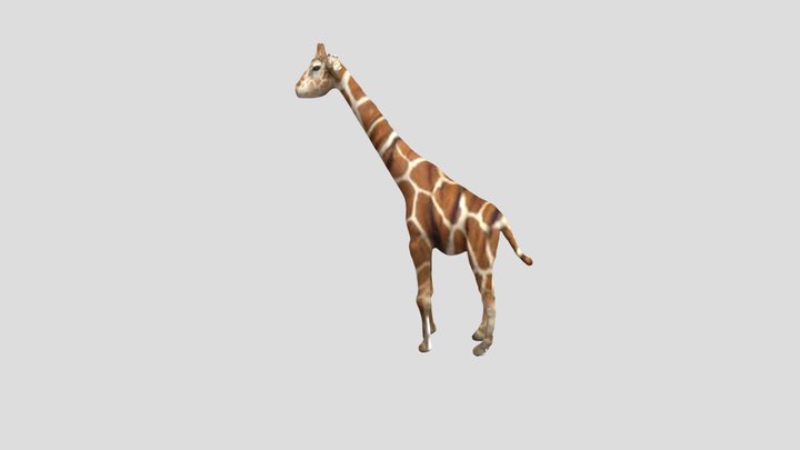 Giraffe 3D Model