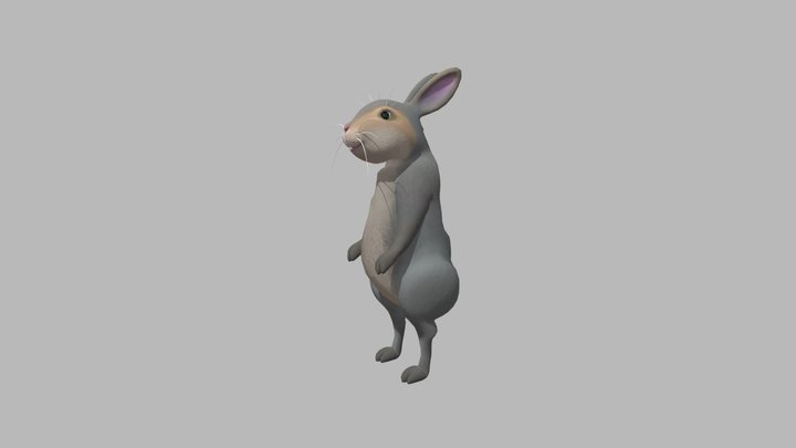 Rabbit_Rigged_Fbx 3D Model