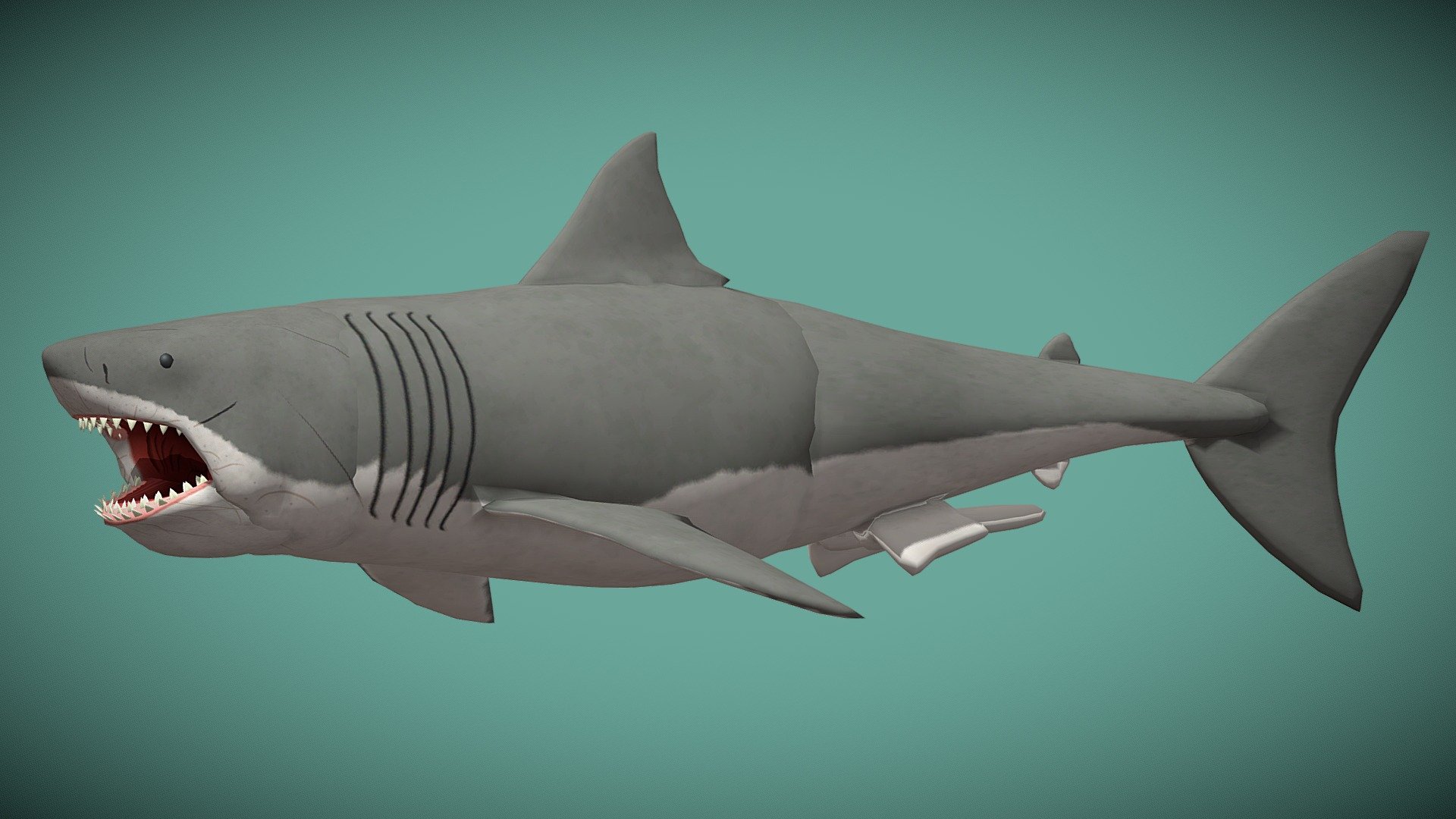 Bruce the Great White Shark from JAWS 1975 Download Free 3D model by