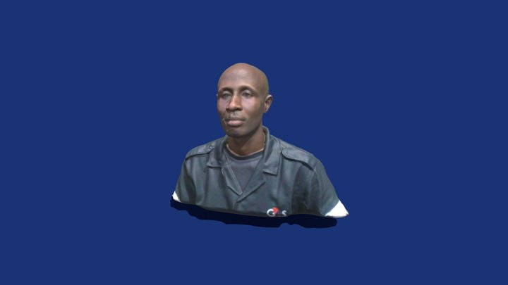 David in Lagos 3D Model