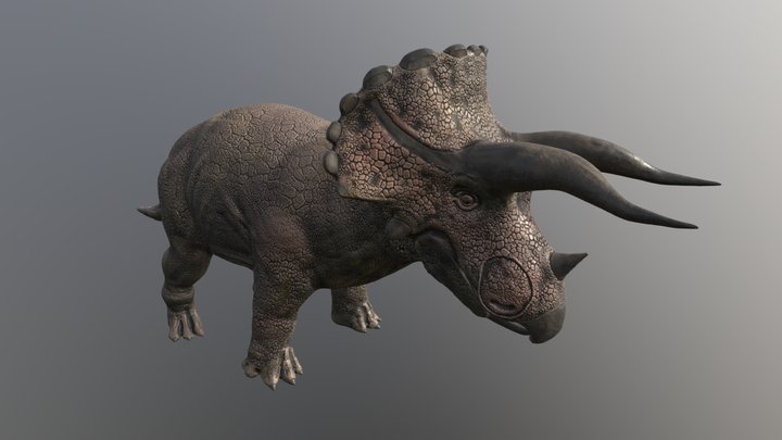 Triceratops_Realistic 3D Model