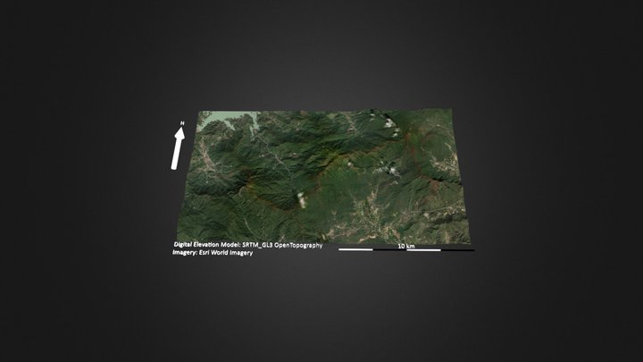 白卡莲银 3D Model