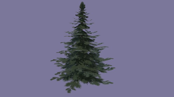 Pine_Tree 3D Model