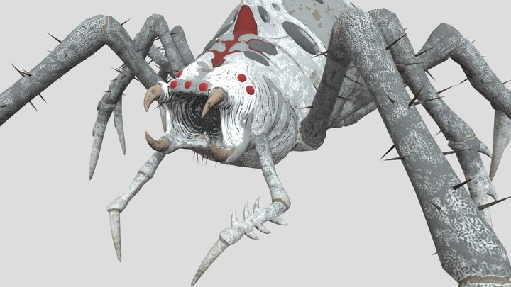 Araneomorphus 3D Model