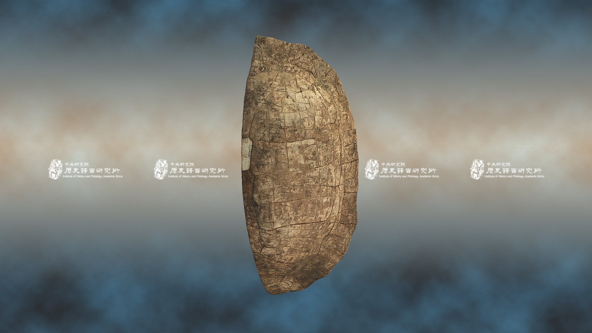 Tortoise shell with traces of cinnabar writing — Sketchfab embed 3D viewer