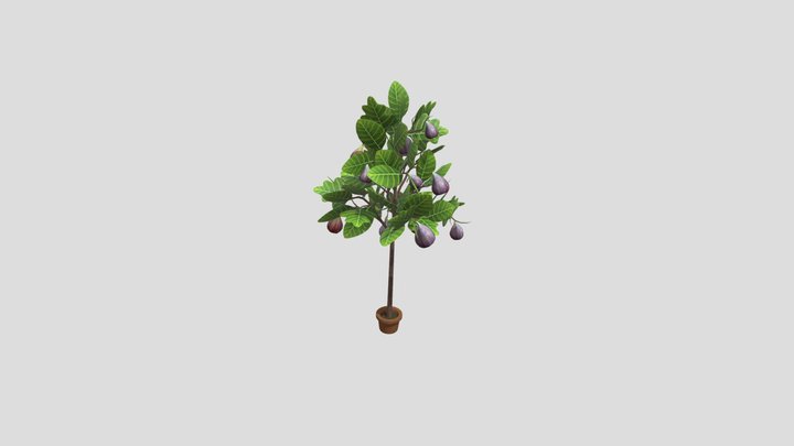FigTree_Paint3D 3D Model