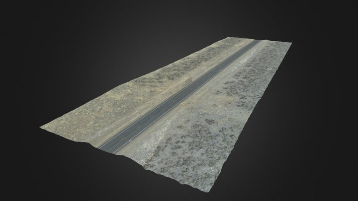 Accident Investigation Modeling - Accident Scene 3D Model
