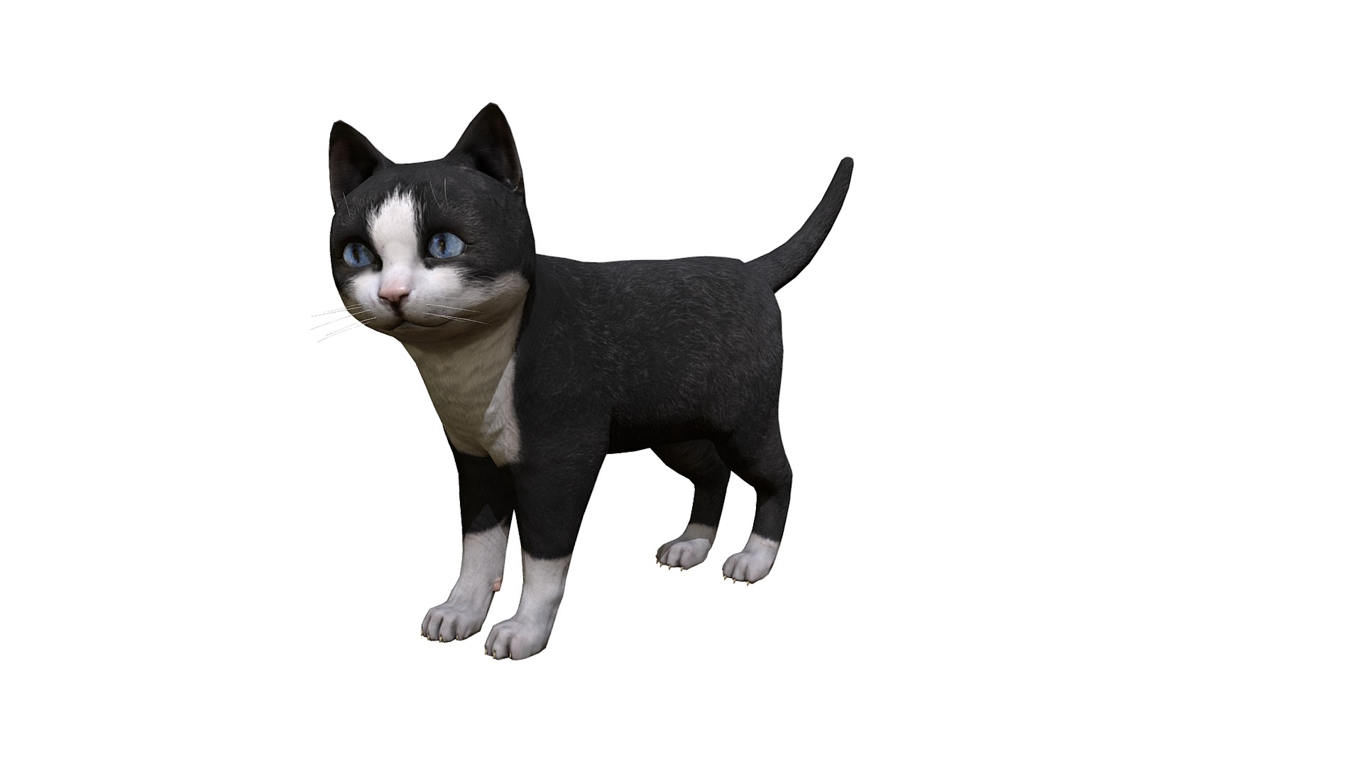 3D model Kitten black - This is a 3D model of the Kitten black. The 3D model is about a black and white cat.