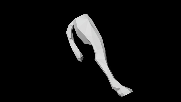 Right Leg