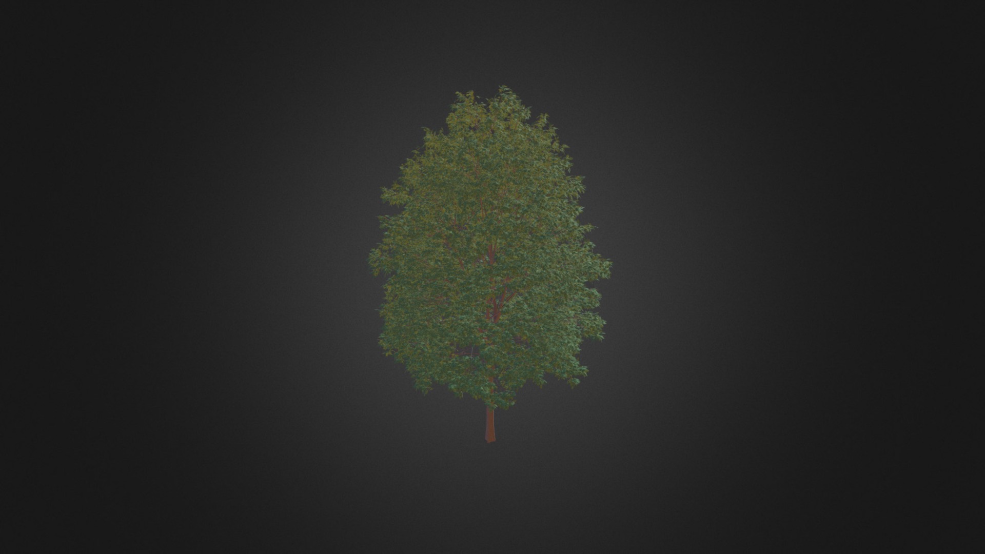 3D model Common Hornbeam Tree (Carpinus betulus) 14.5m - This is a 3D model of the Common Hornbeam Tree (Carpinus betulus) 14.5m. The 3D model is about shape.