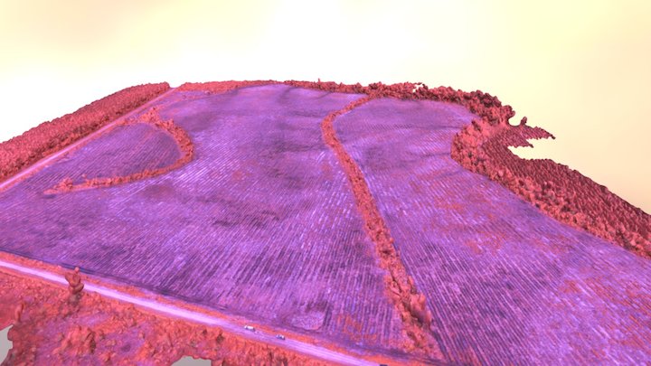 NIR Timber Modeling (Recently Planted) 3D Model