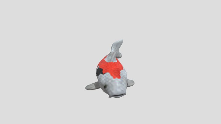 Fish Single 3D Model