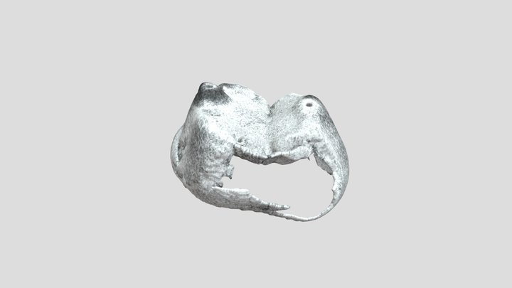 URSM2_E 3D Model