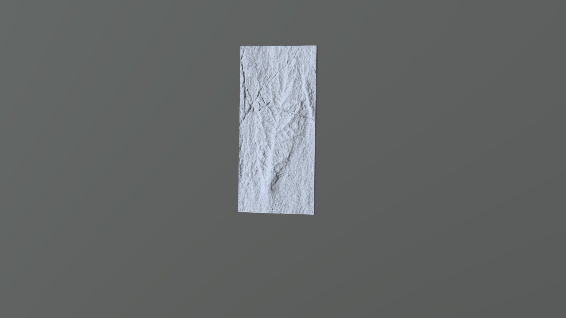 Beothukis 3d