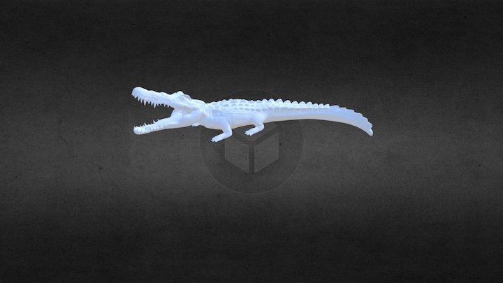Crocodile 3D Model