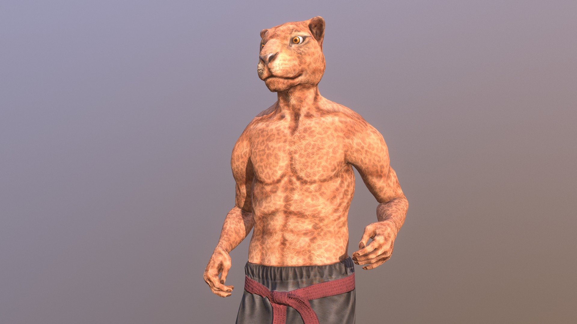 Mr Leopard Character