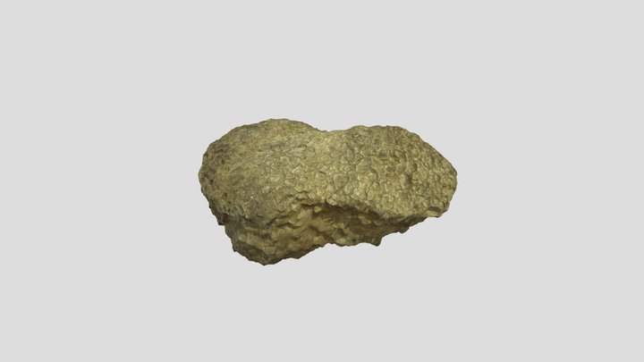 Scan Test 2 3D Model