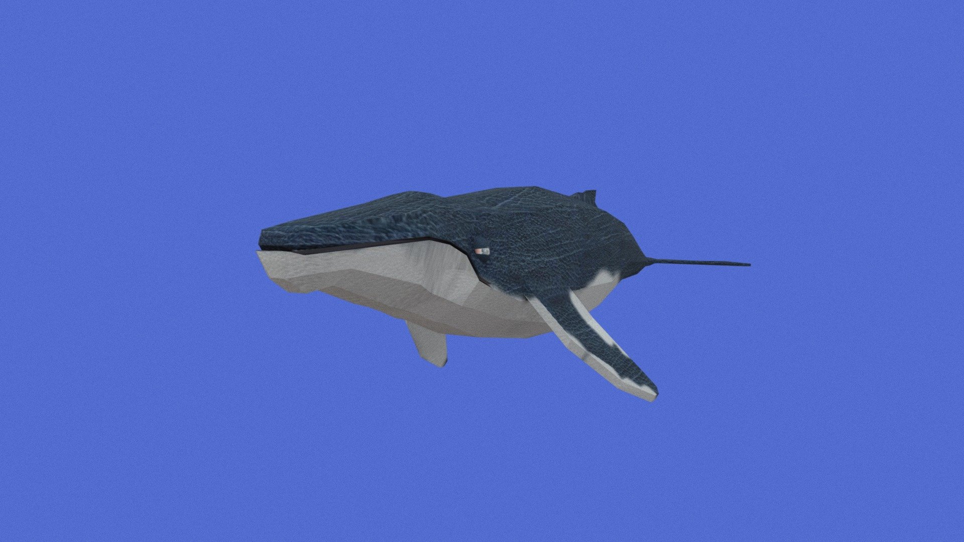 Humpback Monster - 3D model by onettchief (@adamclipgamer) [fbf633f ...