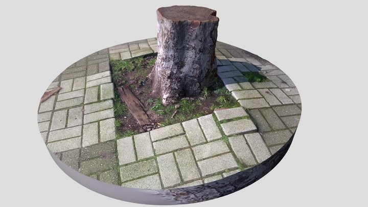 Stump 2 3D Model