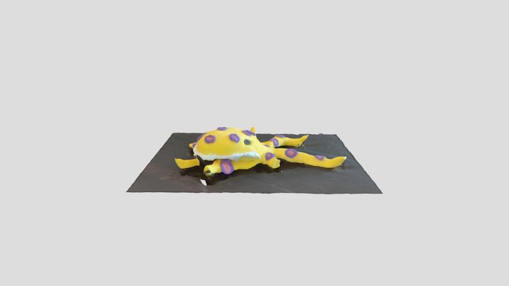 Octo 3D Model
