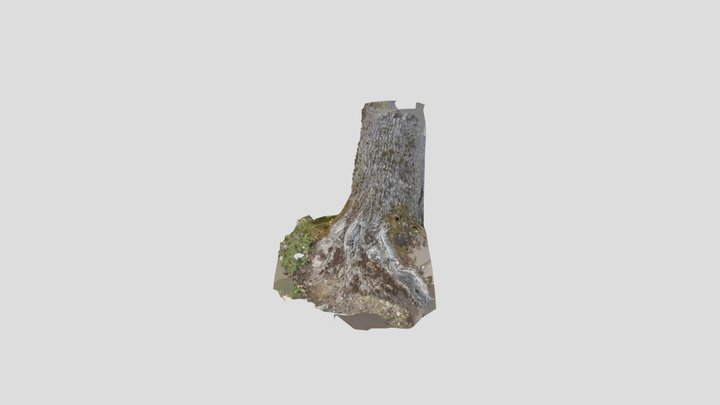 KnottyTree_parkingLotTarget 3D Model