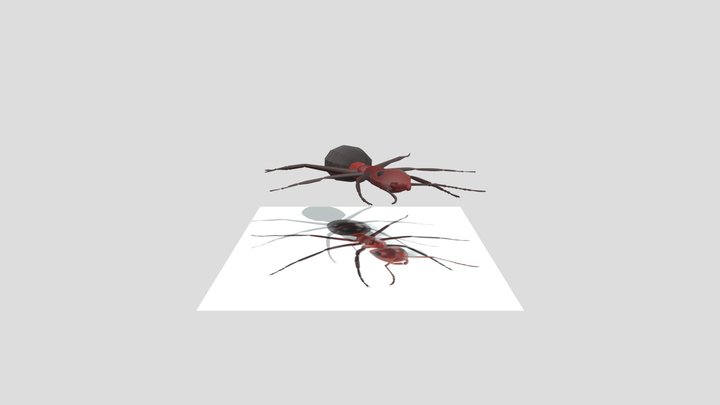 螞蟻作業 3D Model