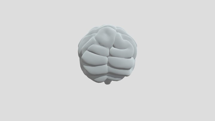 Pink Brain Model 3D Model
