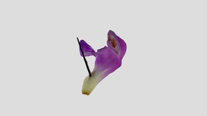 29-test-sideways-rotations 3D Model