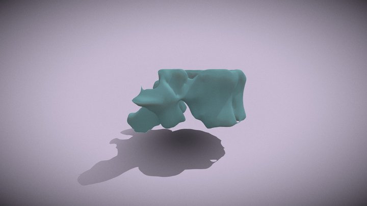 Thoracic Vertebrae 3D Model