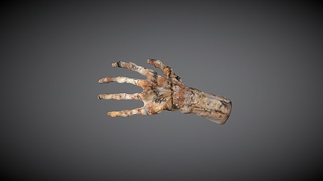 Rock Hand 3D Model