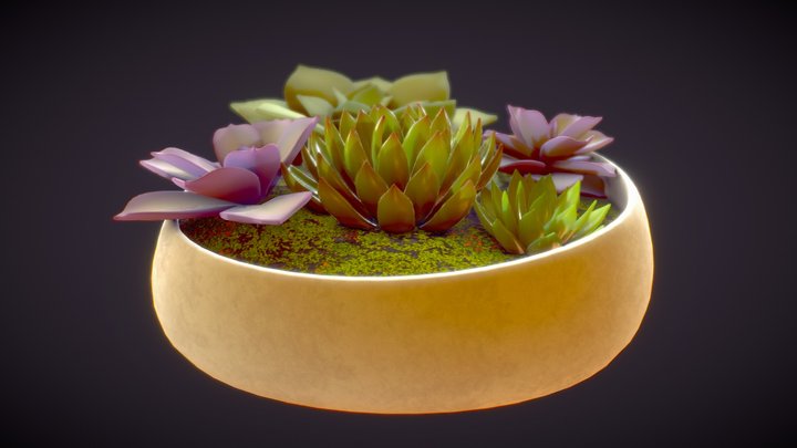 Succs to be You 3D Model