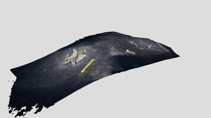 3d_model_nr_7 3D Model
