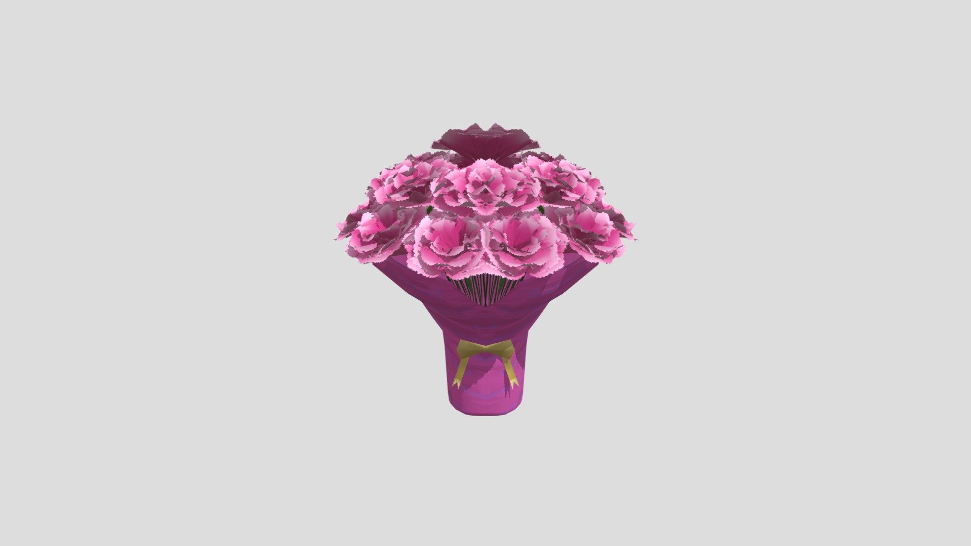 Potted carnation mixed