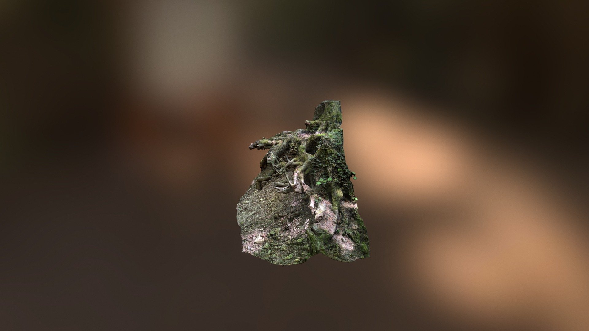 tree roots #01