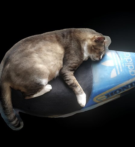 Lazy Cat On Bike 3D Model