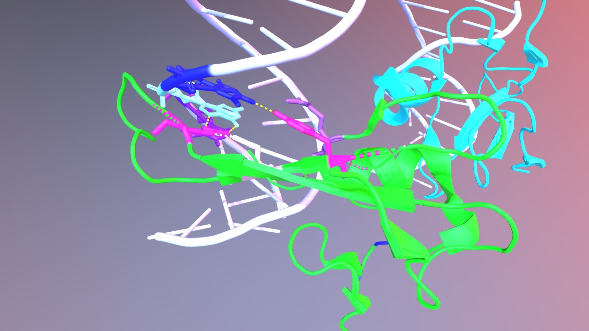 MBD2 in complex with methylated DNA - 3D model by wyly8502 [fc188a9 ...
