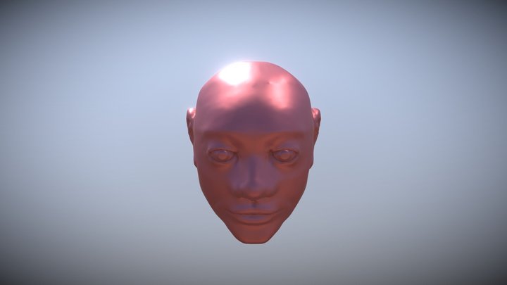First Head Sculpt 3D Model
