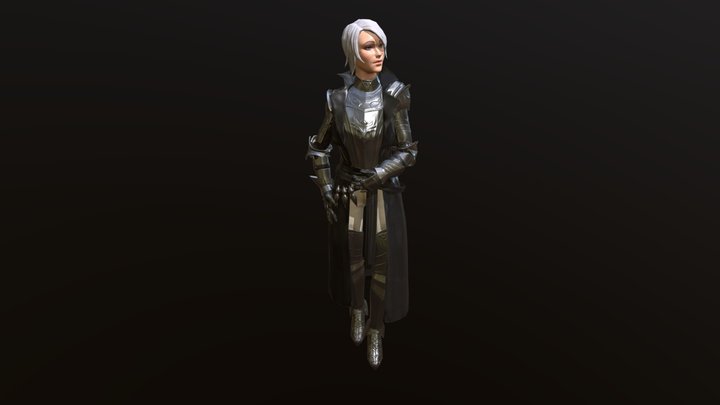Black and Silver, Knightess Fan Project - Posed 3D Model