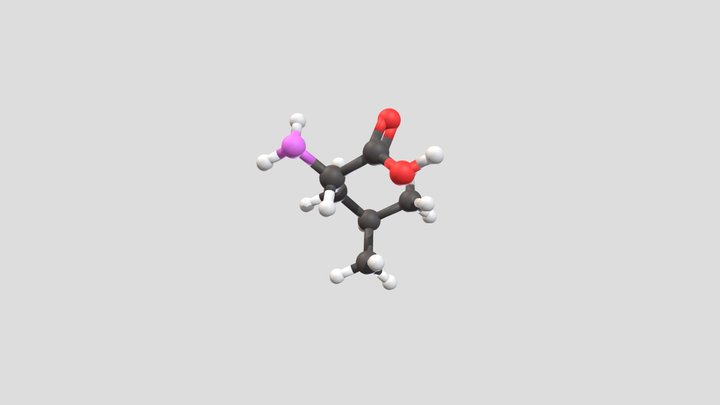 Leuceine 3D Model